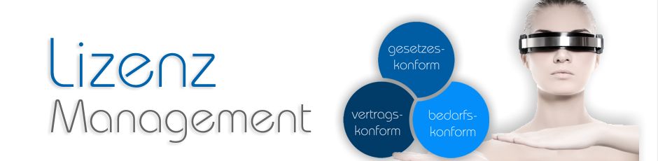 Systemhaus Lizenzmanagement